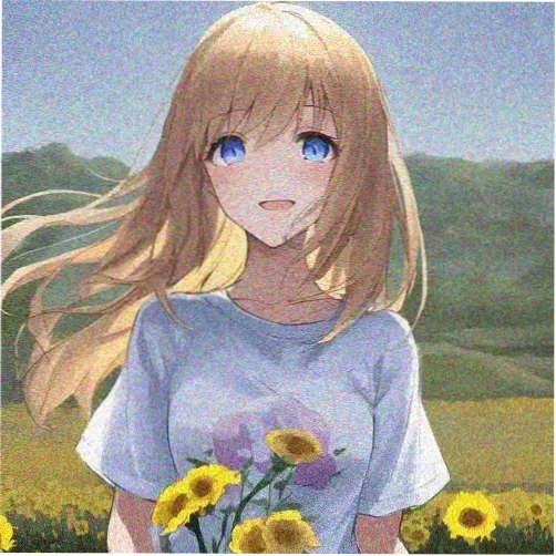 读者海鸥头像